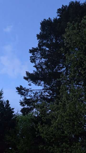 WelSnap Video